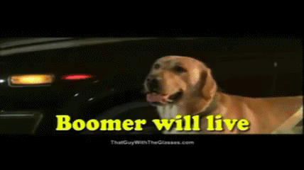 boomer_will_live_by_amandakitswell-d4dfpxt.gif