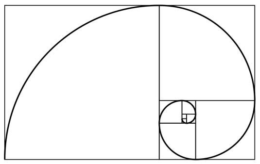 fibonacci-spiral-golden-ratio.jpg