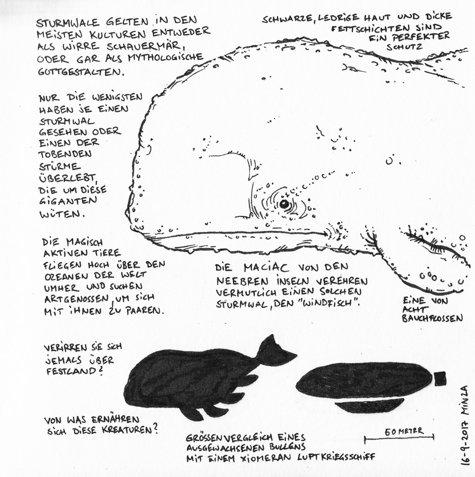 002 - Sturmwal.jpg