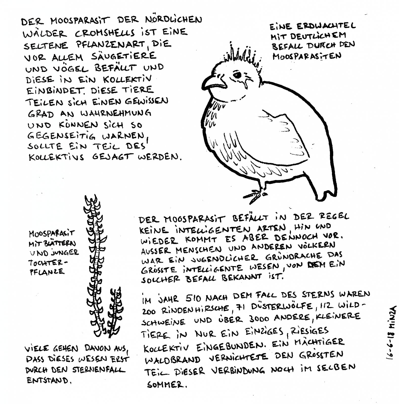 014 - Moosparasit.jpg