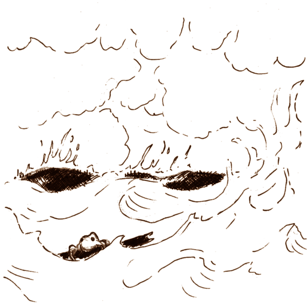 01b - Texalotl.png