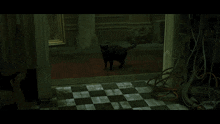 1752504723071.gif
