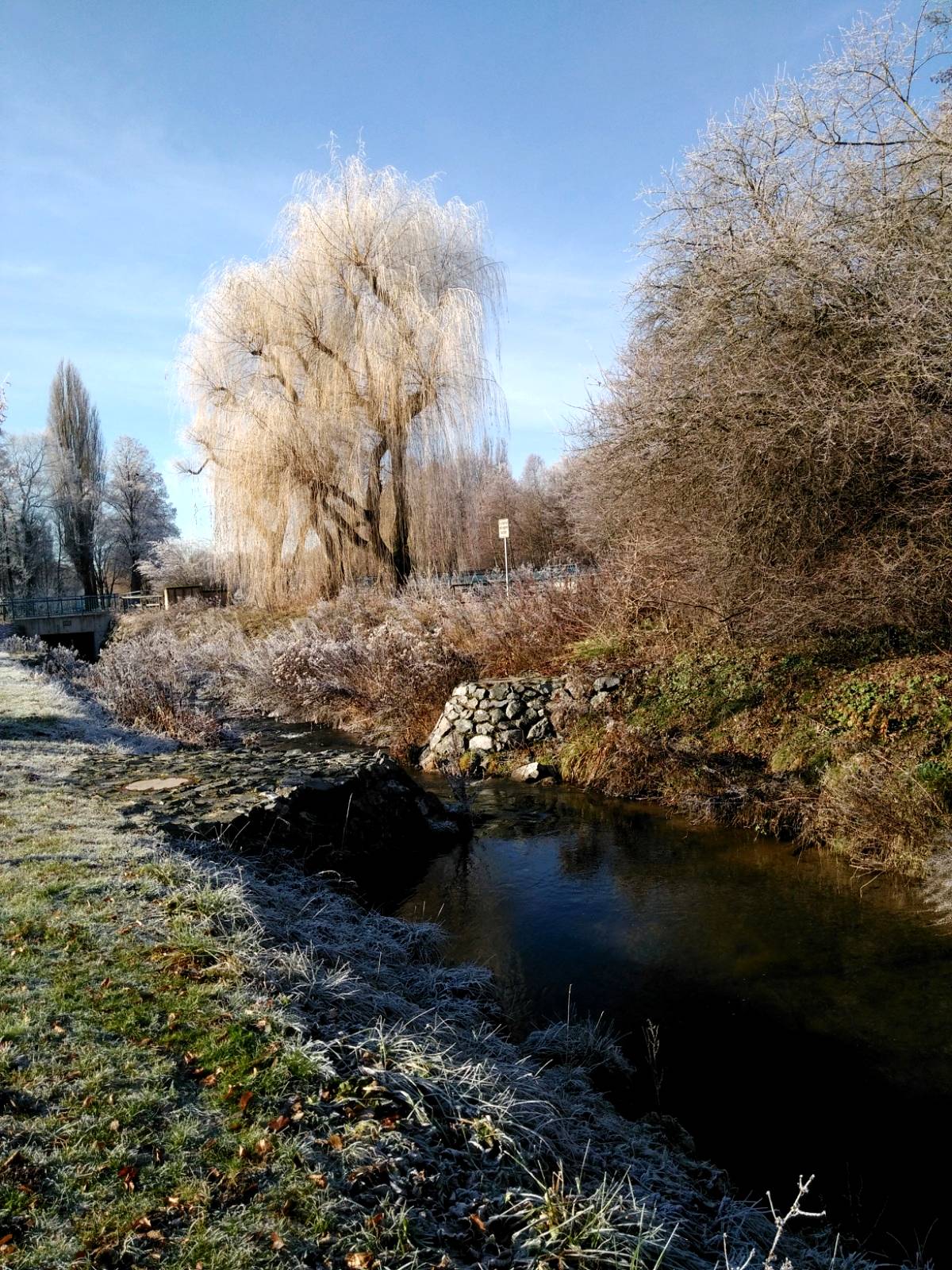 2016-12-04-22-10-06.jpg