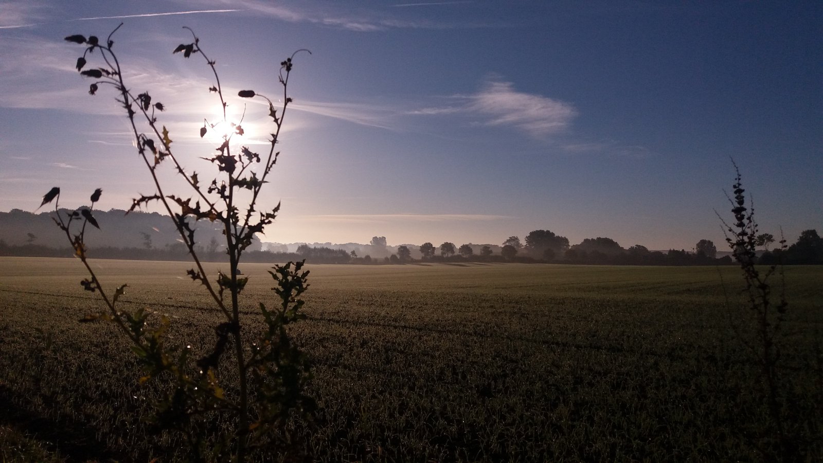 20211007_085358.jpg