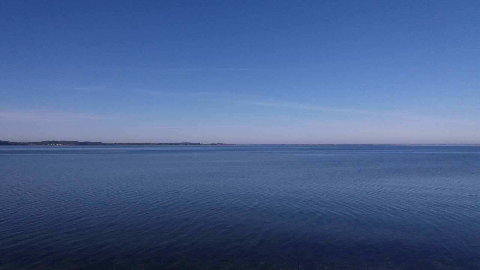 20211007_120041.jpg