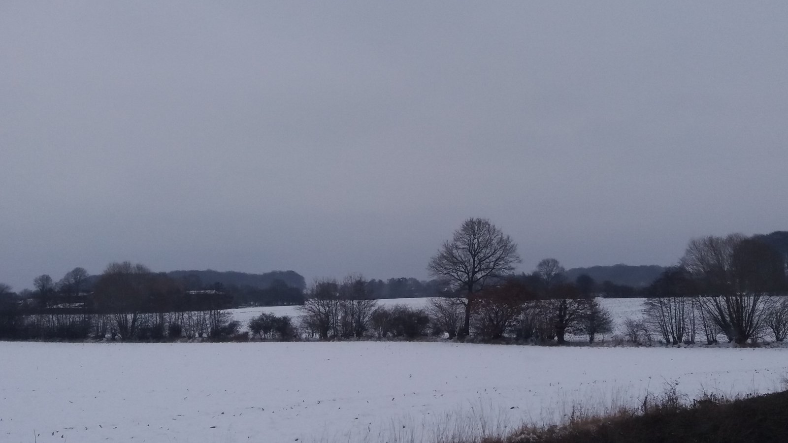 20211227_124705.jpg