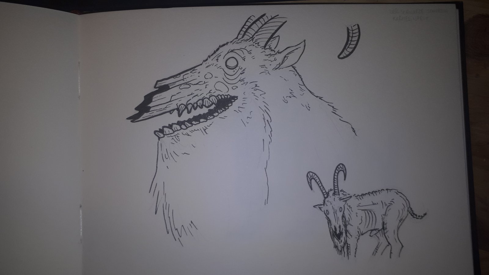 20240513_160919.jpg