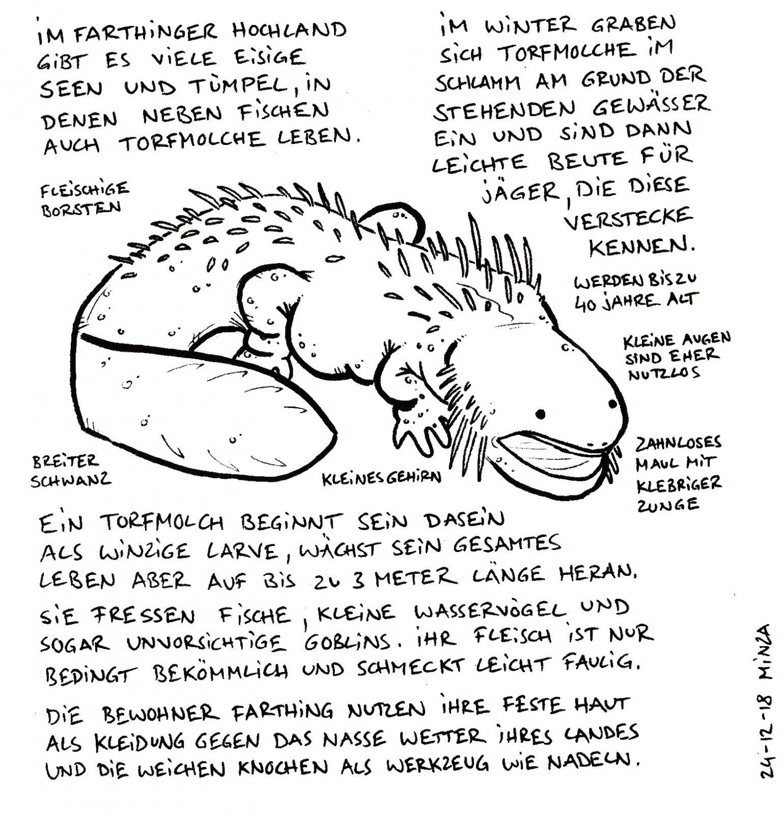 23 - Torfmolch.jpg