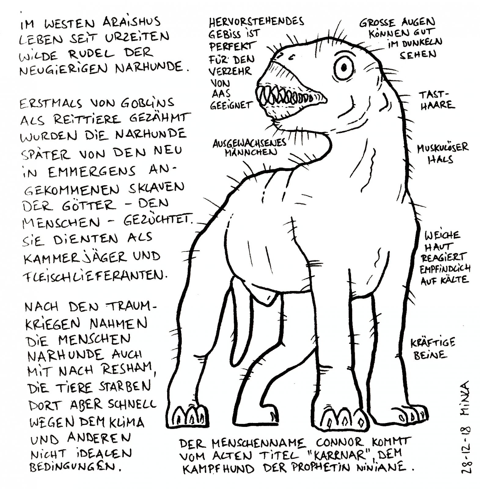 24 - Narhund.jpg