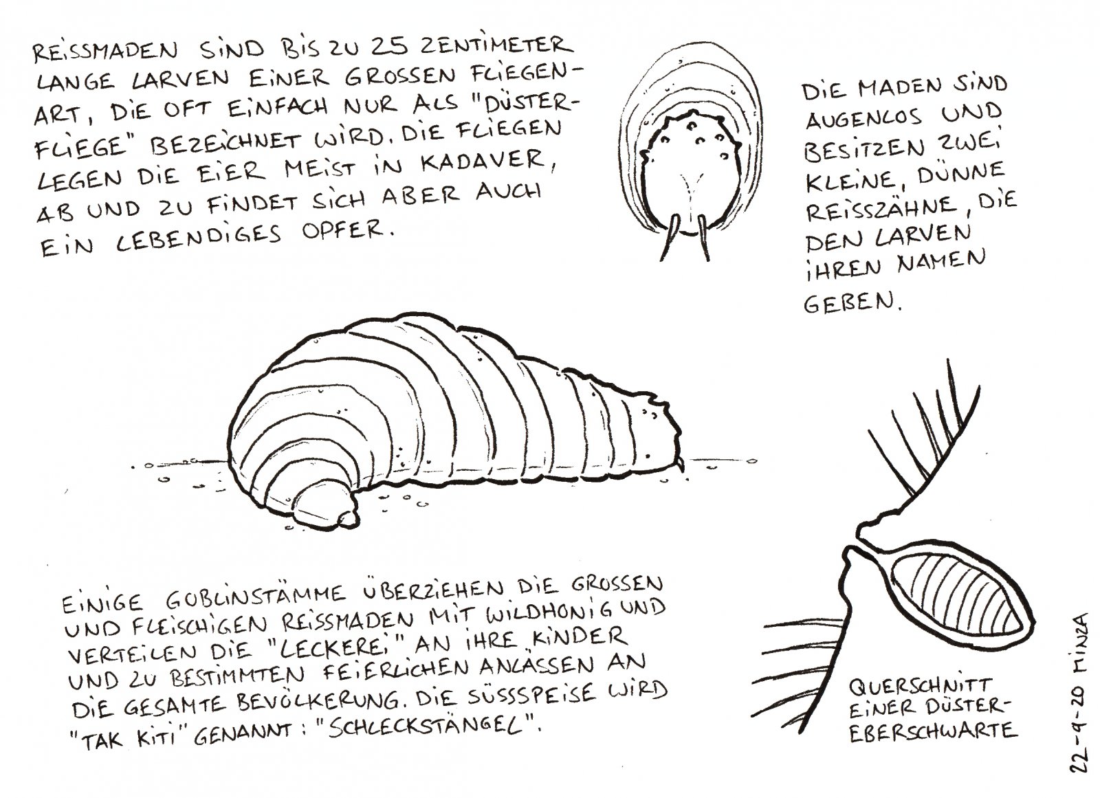 27 - Reißmaden.jpg