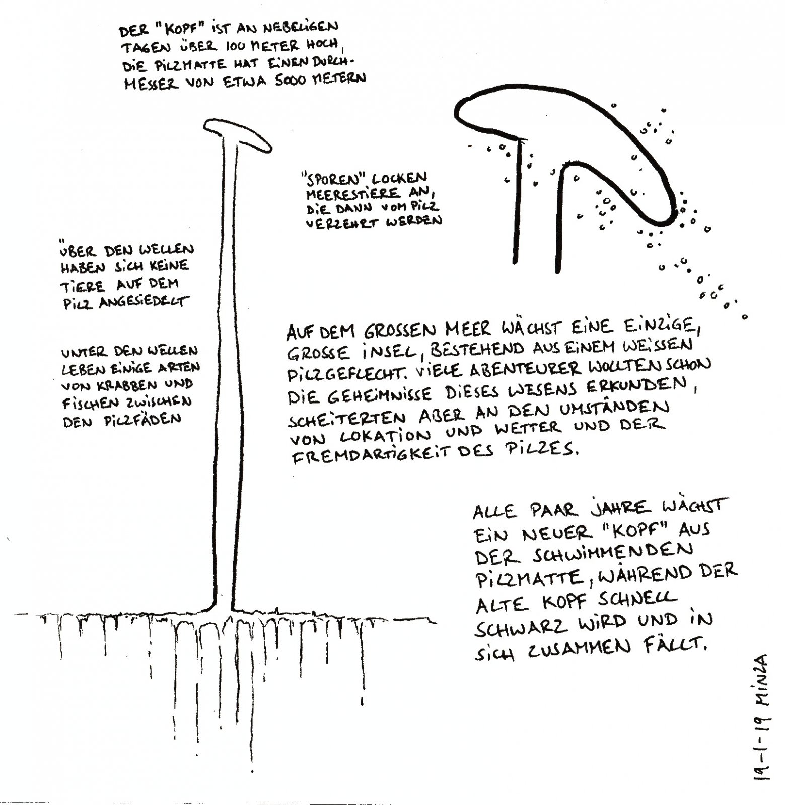 36 - Pilzinsel.jpg