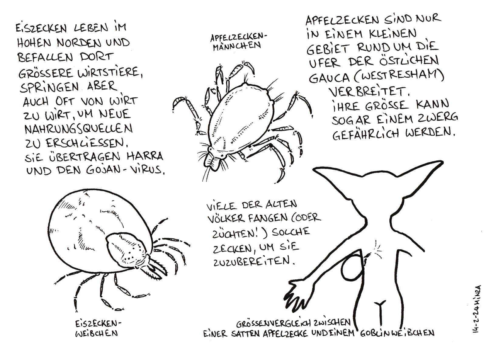 51 - Eiszecke und Apfelzecke.jpg