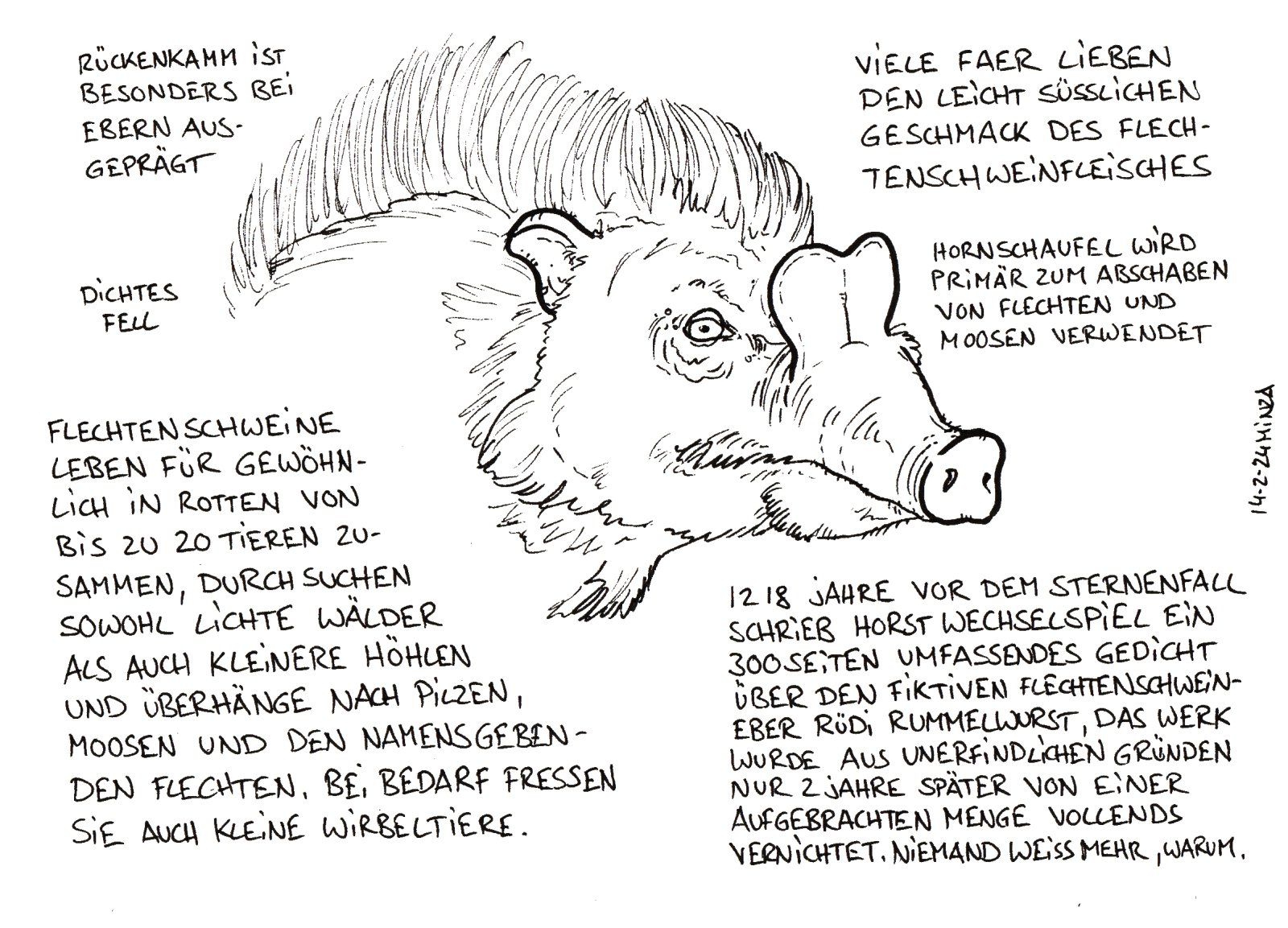 53 - Flechtenschwein.jpg