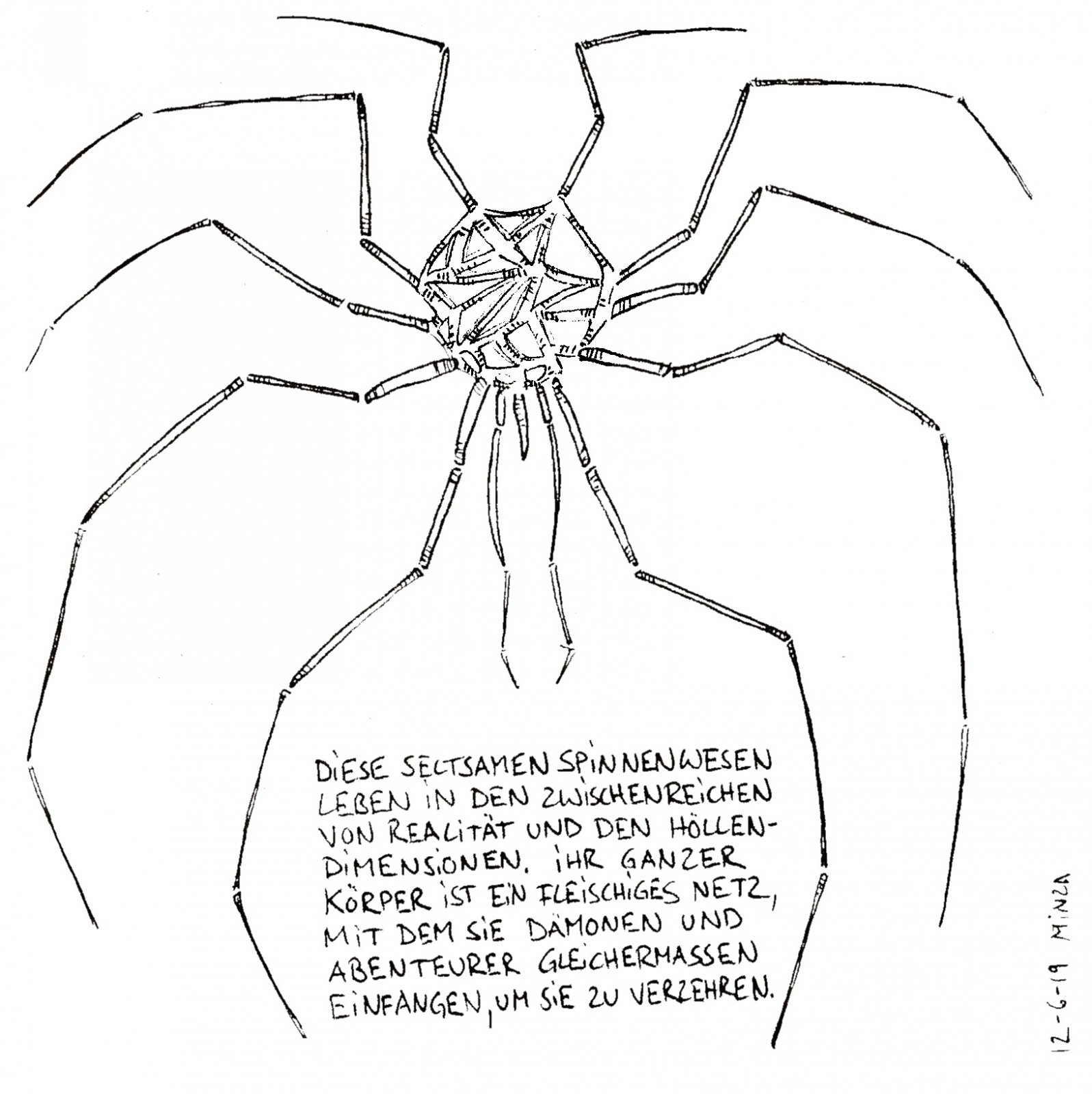 54 - Lauerndes Netz.jpg