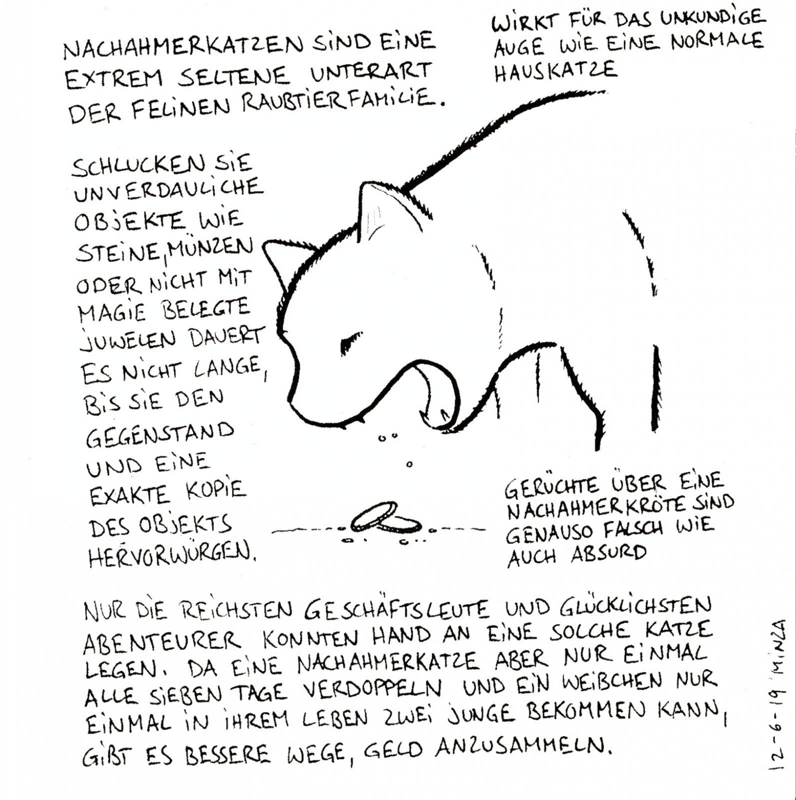 55 - Nachahmerkatze.jpg