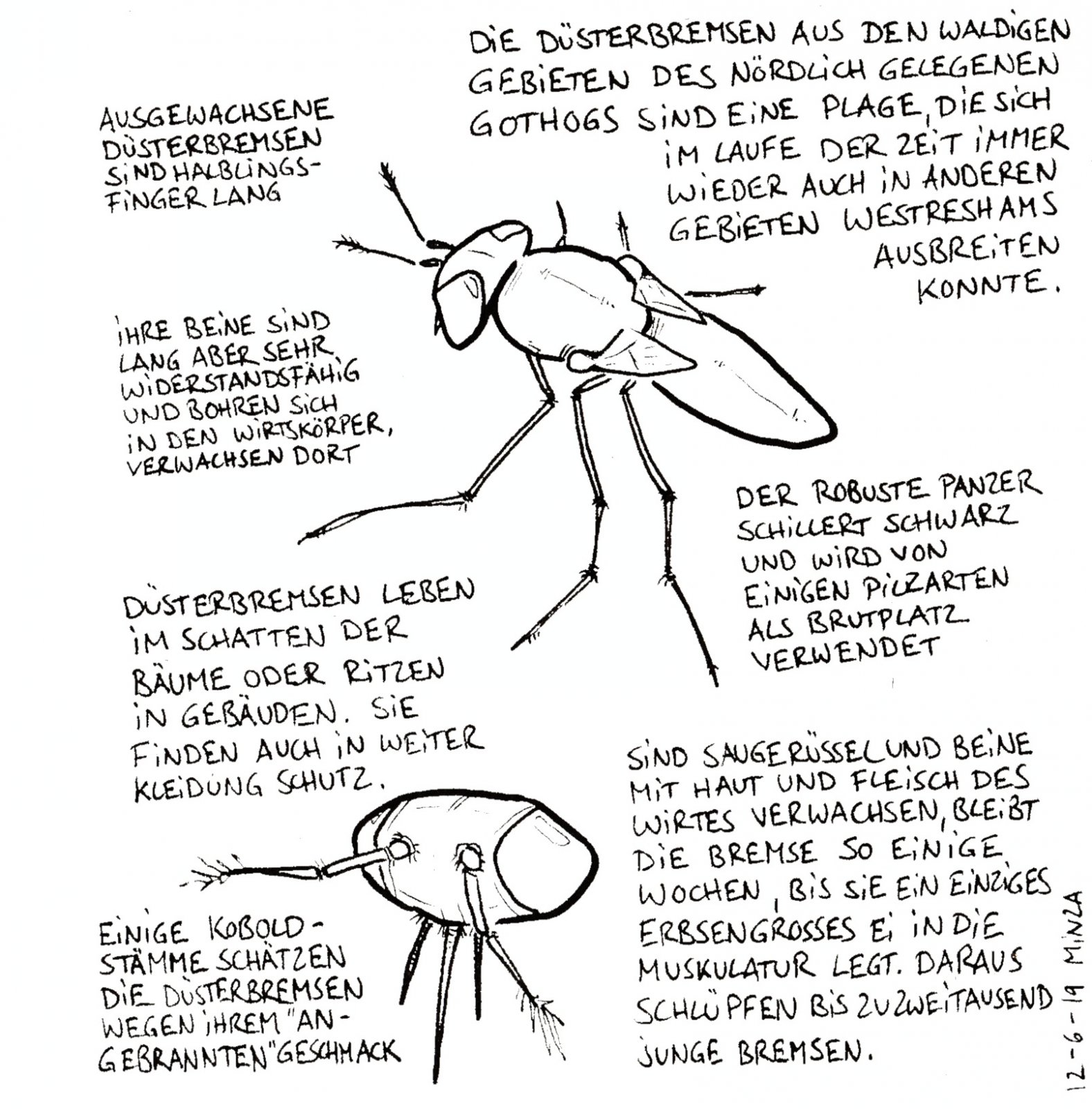 56 - Düsterbremse.jpg