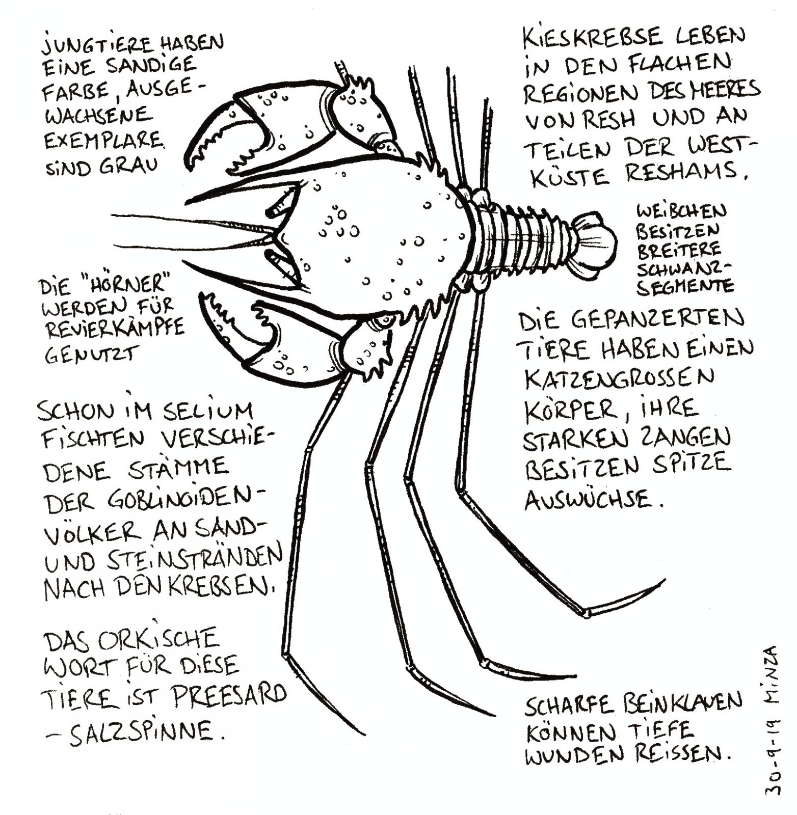67 - Kieskrebse.jpg