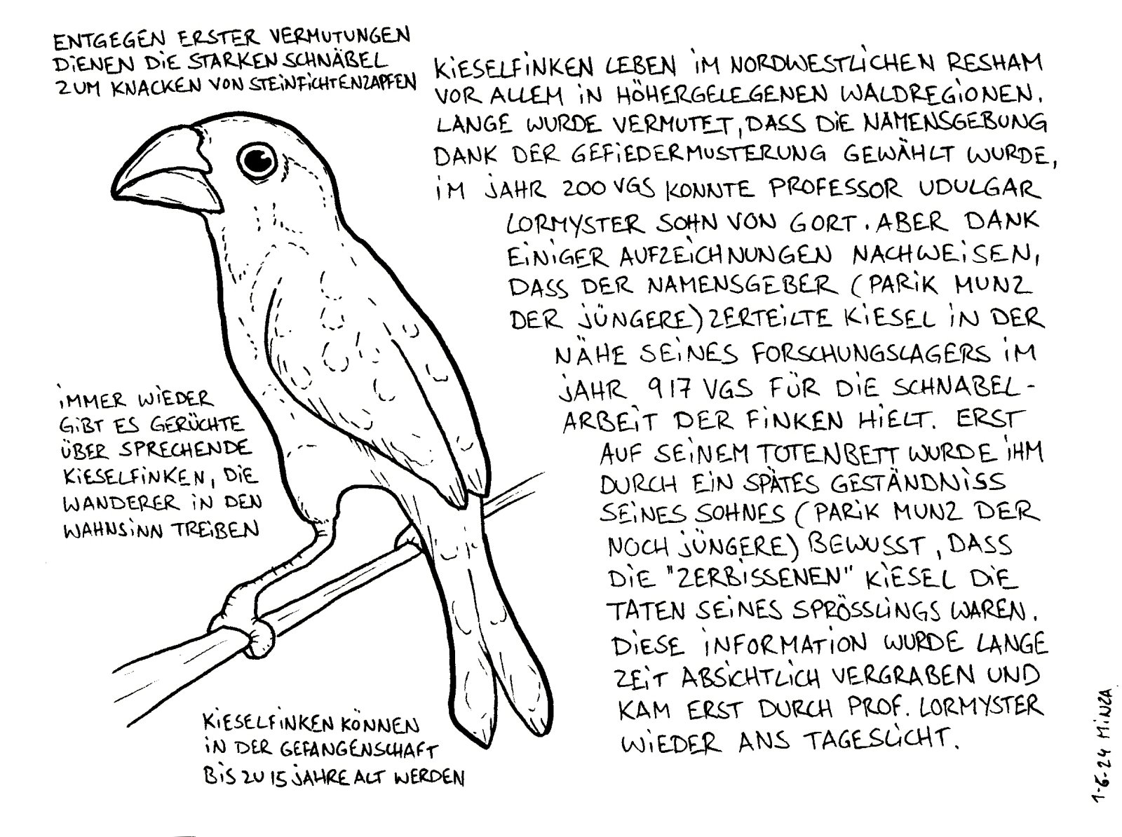 71 -  Kieselfink.jpg