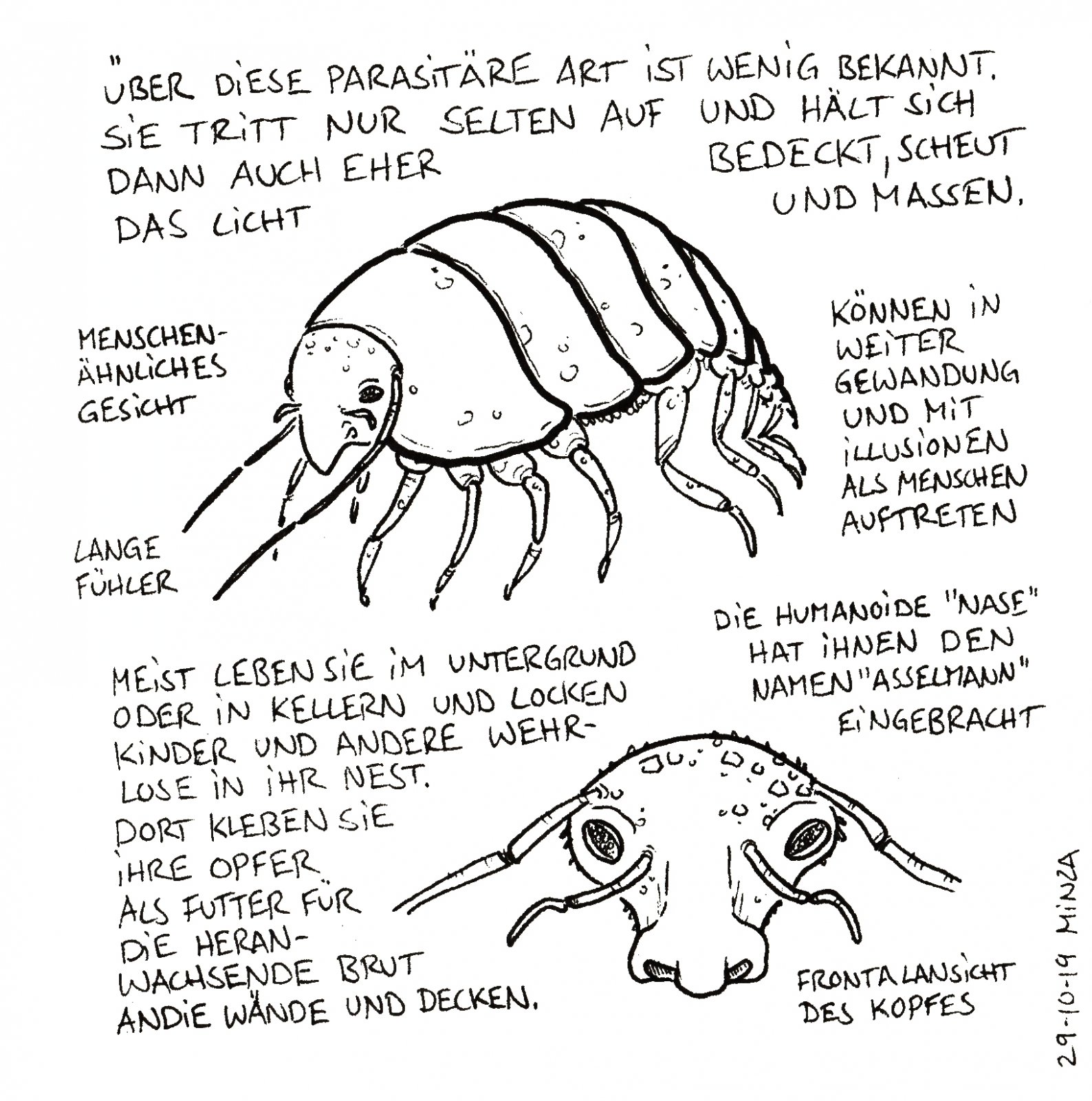 73 - Asselmann.jpg