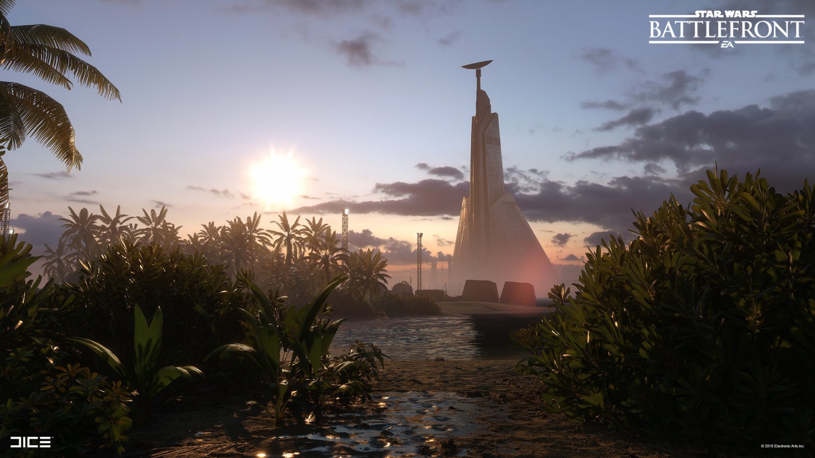 808045.jpg