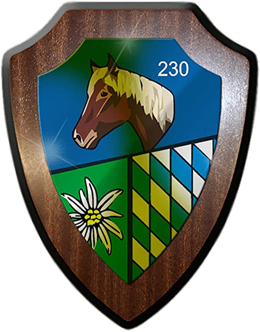 81g66-lGhlL._AC_SX522_.jpg
