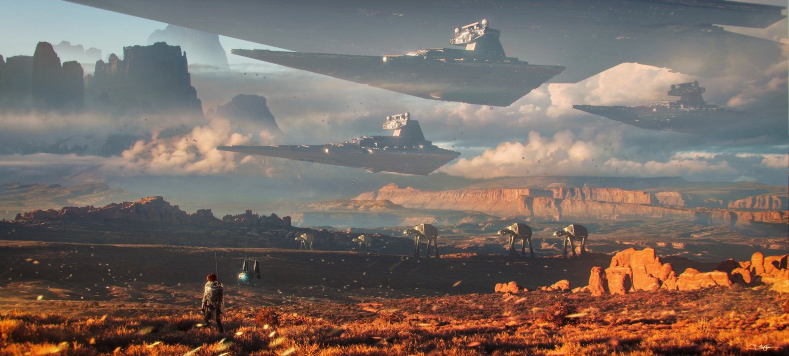 834222.jpg