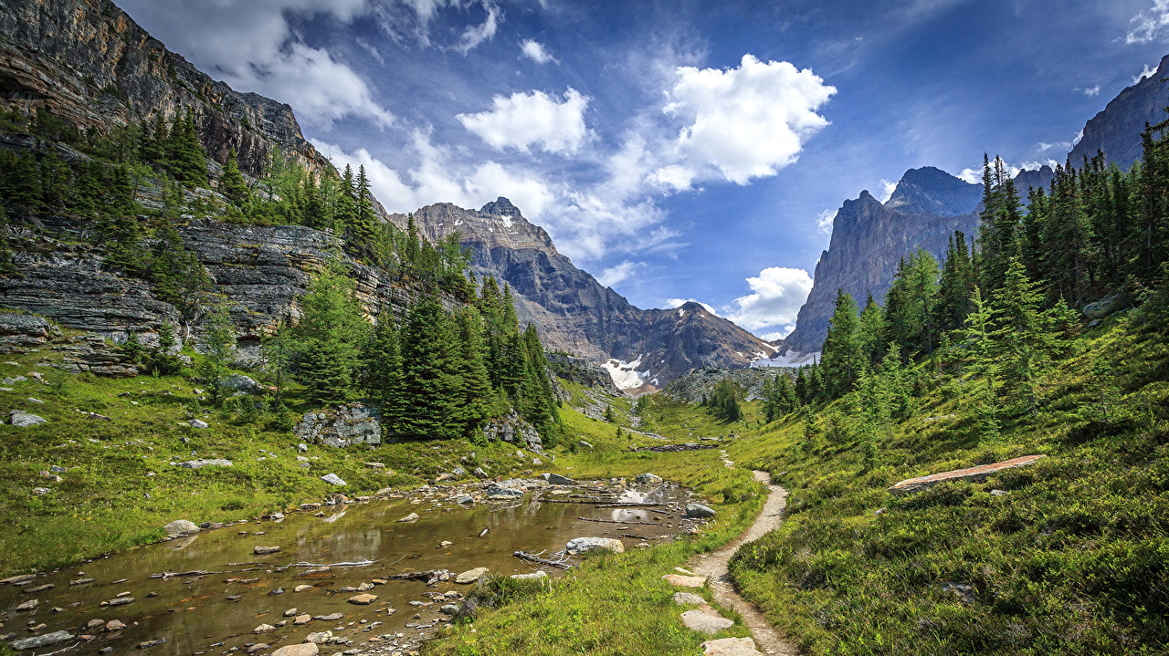 Arelion IV Berglandschaft & Nadelwälder.jpg