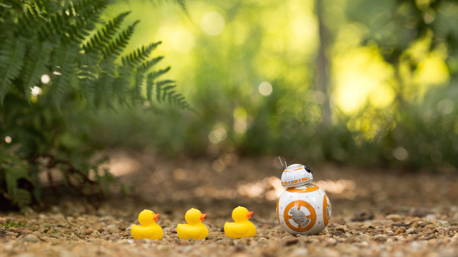 BB-8-1.jpg