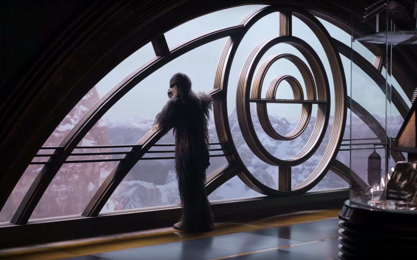 chewie.jpg