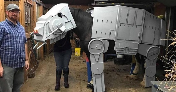 costume-halloween-costumes-star-wars-halloween-horse-7036421.jpg