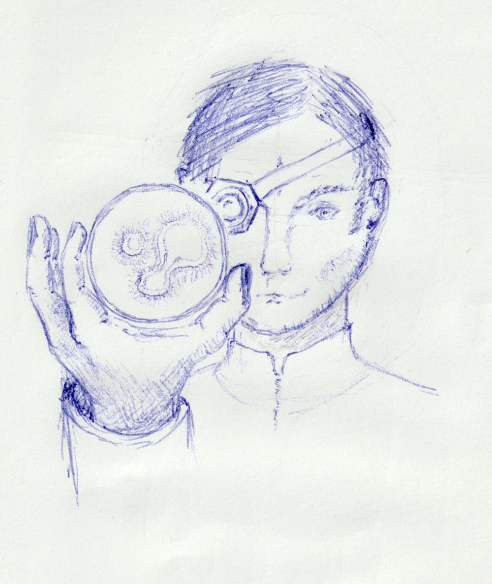 Discover.jpg