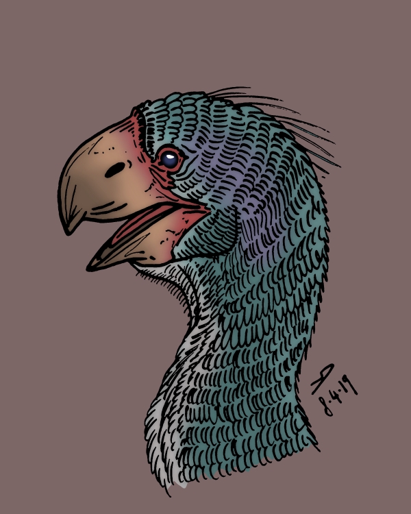 Gastornis.jpg