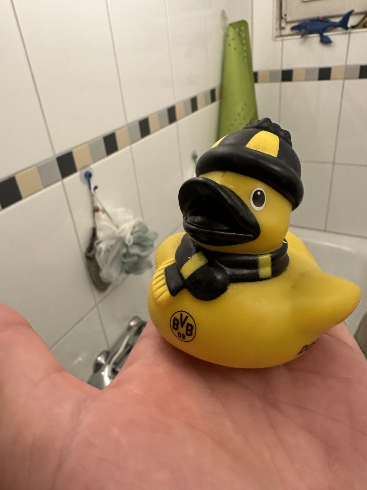 IMG_5824.jpeg