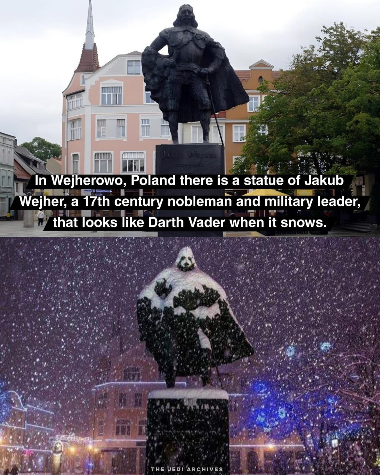 IMG_8151.jpeg
