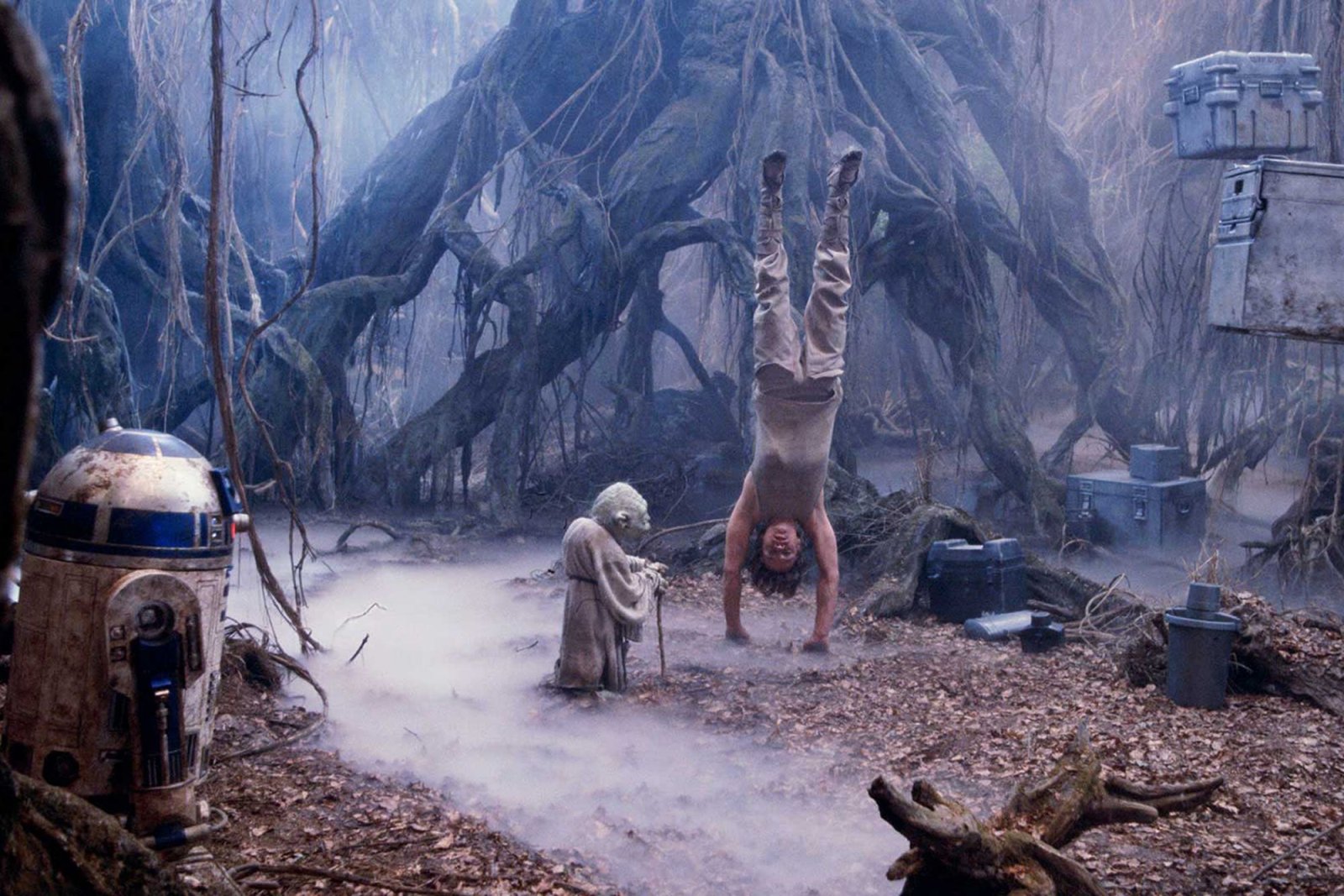 Luke on Dagobah.jpeg