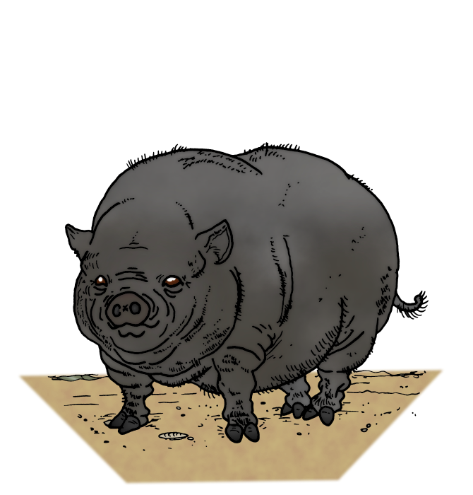 Rüssel.png