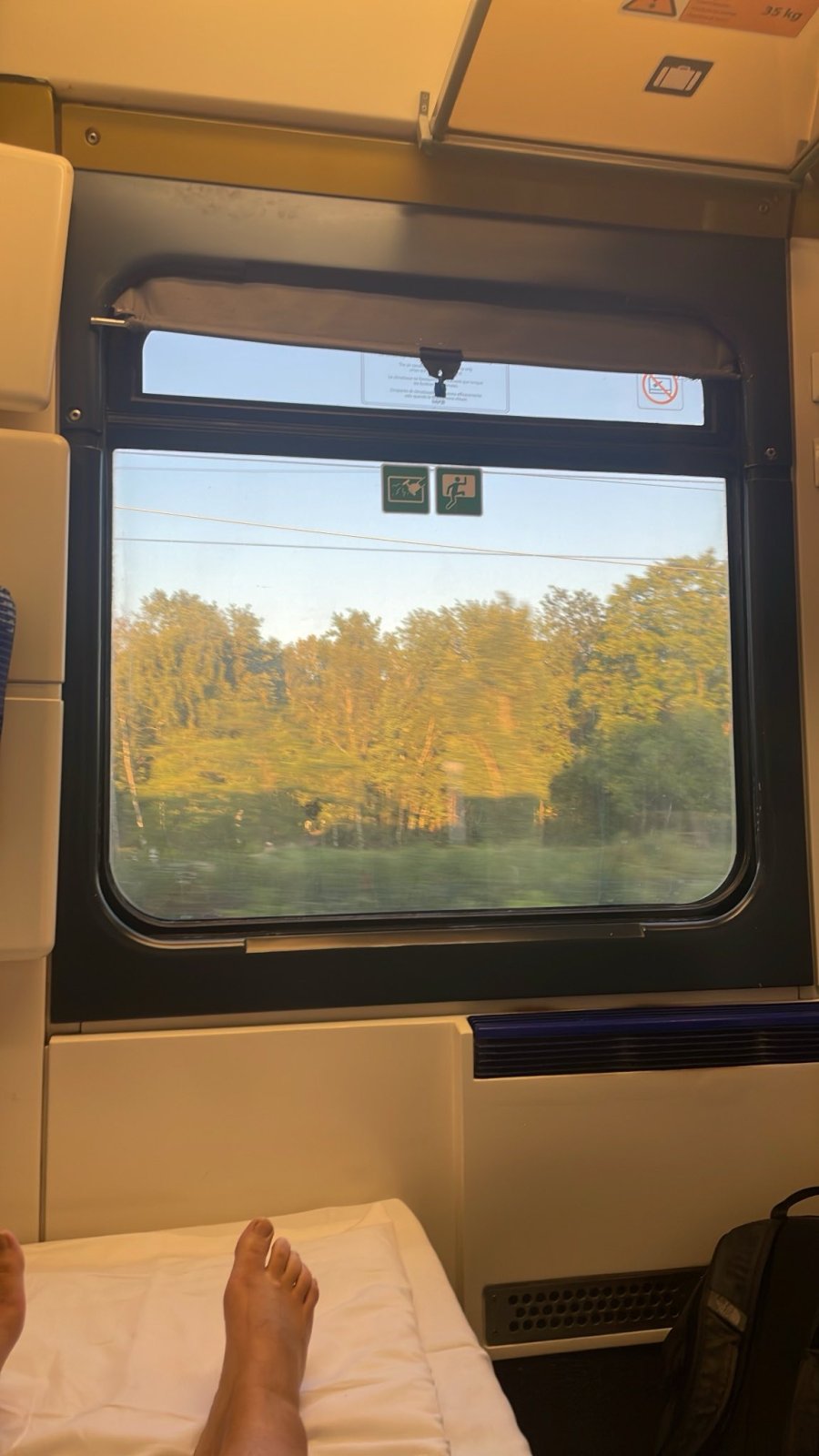 signal-2025-08-19-195130.jpeg