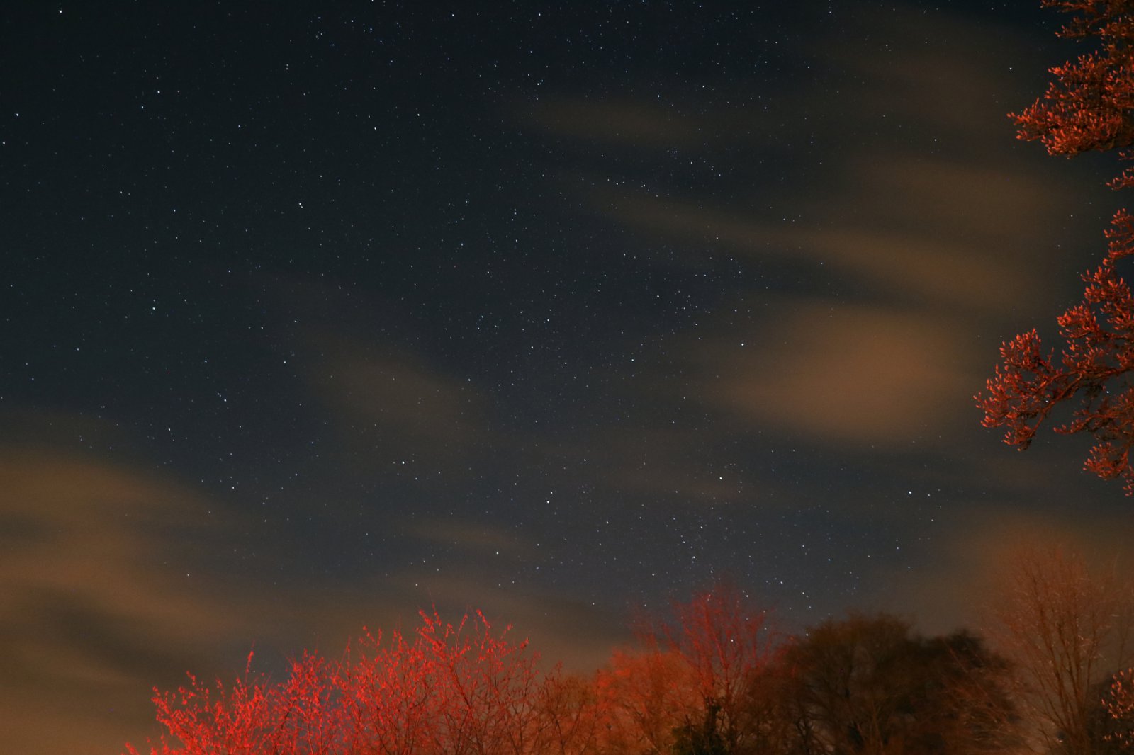 starfield_jan_2019_small-jpg.25747
