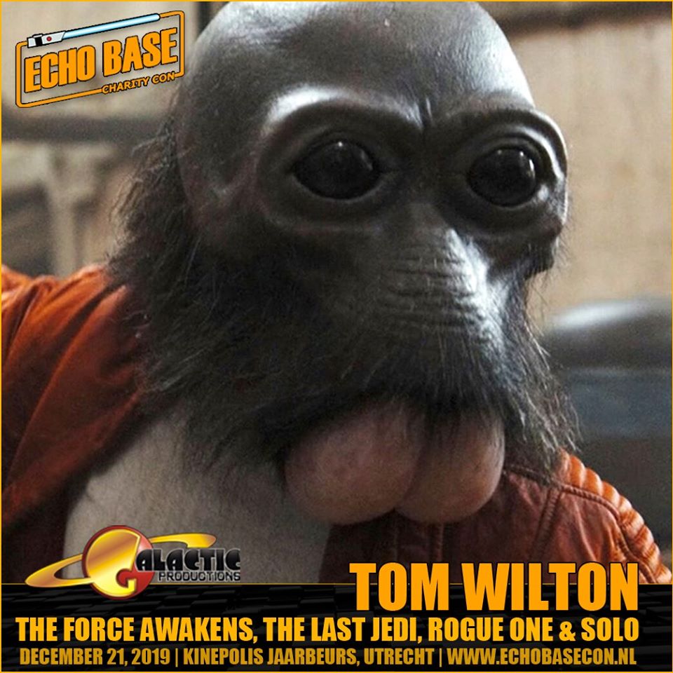 WILTON.jpg