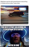 FB_IMG_1731945906225.jpg