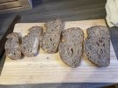 IMG_5902.jpeg