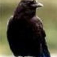 jedi corvus