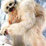 Wampa