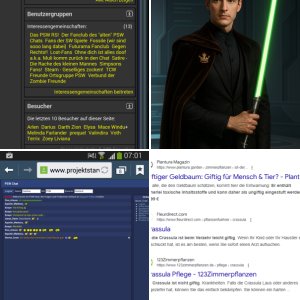 Tiefen des Internetztes