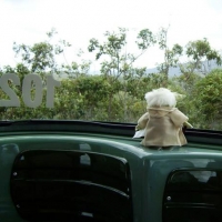 Yoda in der Seilbahn nach Kuranda, Queensland, Australien