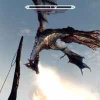 Mein 7 Drache