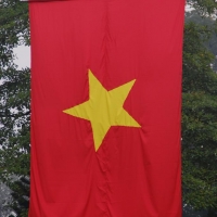 Vietnamesische Flagge