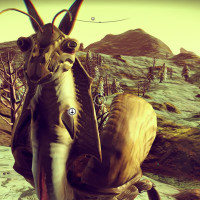 Critter aus No Man's Sky