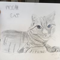 Moon Cat