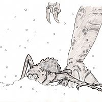 Sein erstes mal ... Schnee